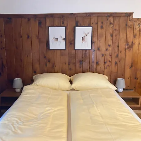 Gams Апартаменты Финкенберг