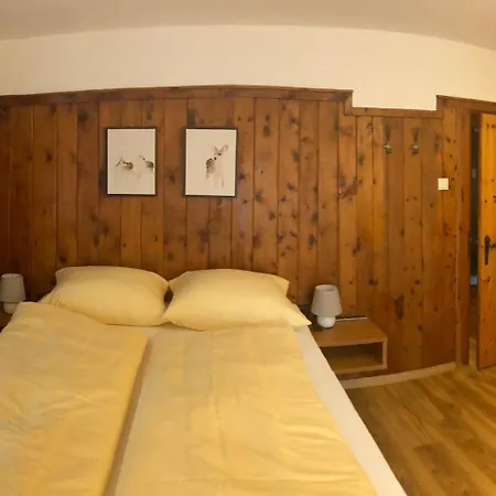 公寓 Gams 弗林肯贝格