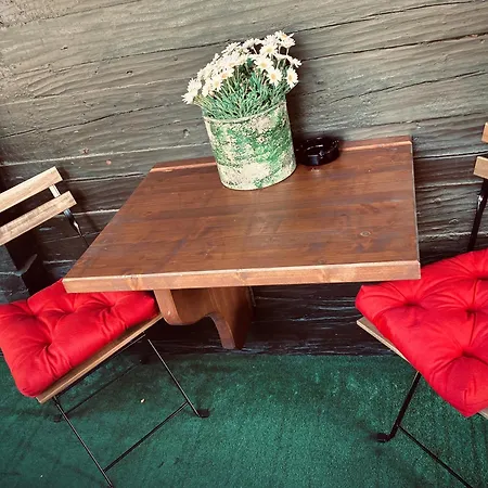 Gams 弗林肯贝格